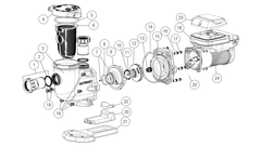Hayward TriStar VS 2.70 THP Pump
