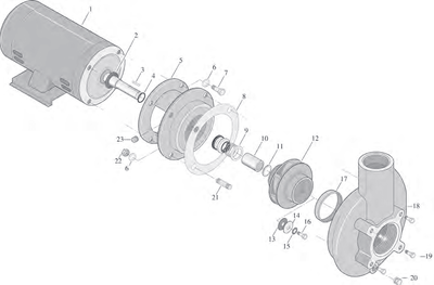 C & CC Series Centrifugal Pump (3 HP)