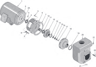 D Series Commercial Pump