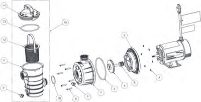 Dynamo Above Ground Pump