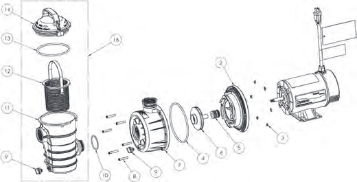 Pentair Dynamo Above Ground Pump Replacement Parts