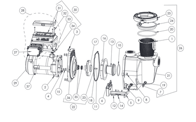 IntelliFlo VS & VS+SVRS Pump (Before 2019)