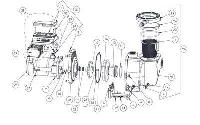 IntelliFlo VS & VS+SVRS Pump (Before 2019)