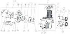 WhisperFloXF Pump