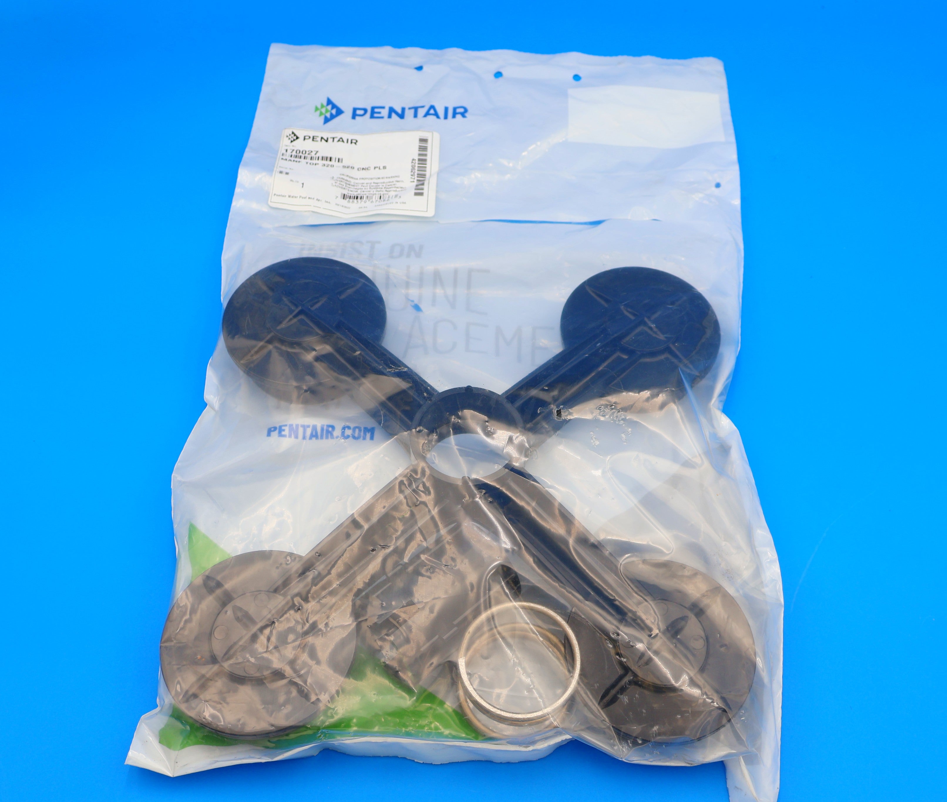Pentair Clean & Clear Plus Top Manifold s/ Short Adapter 170027