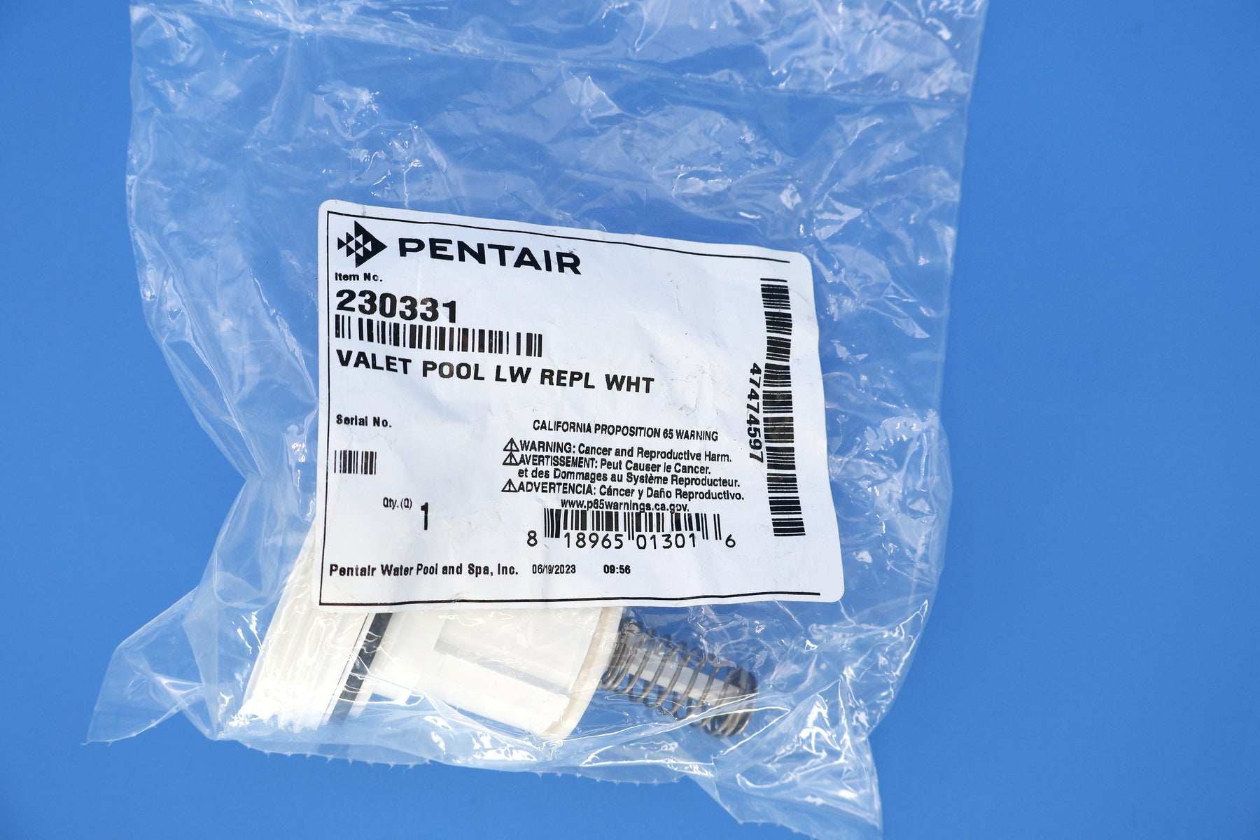 Pentair In-Floor (A&A) Retro-Fit Low Flow Pool Valet Replacement Pop Up Head, White 230331 522044