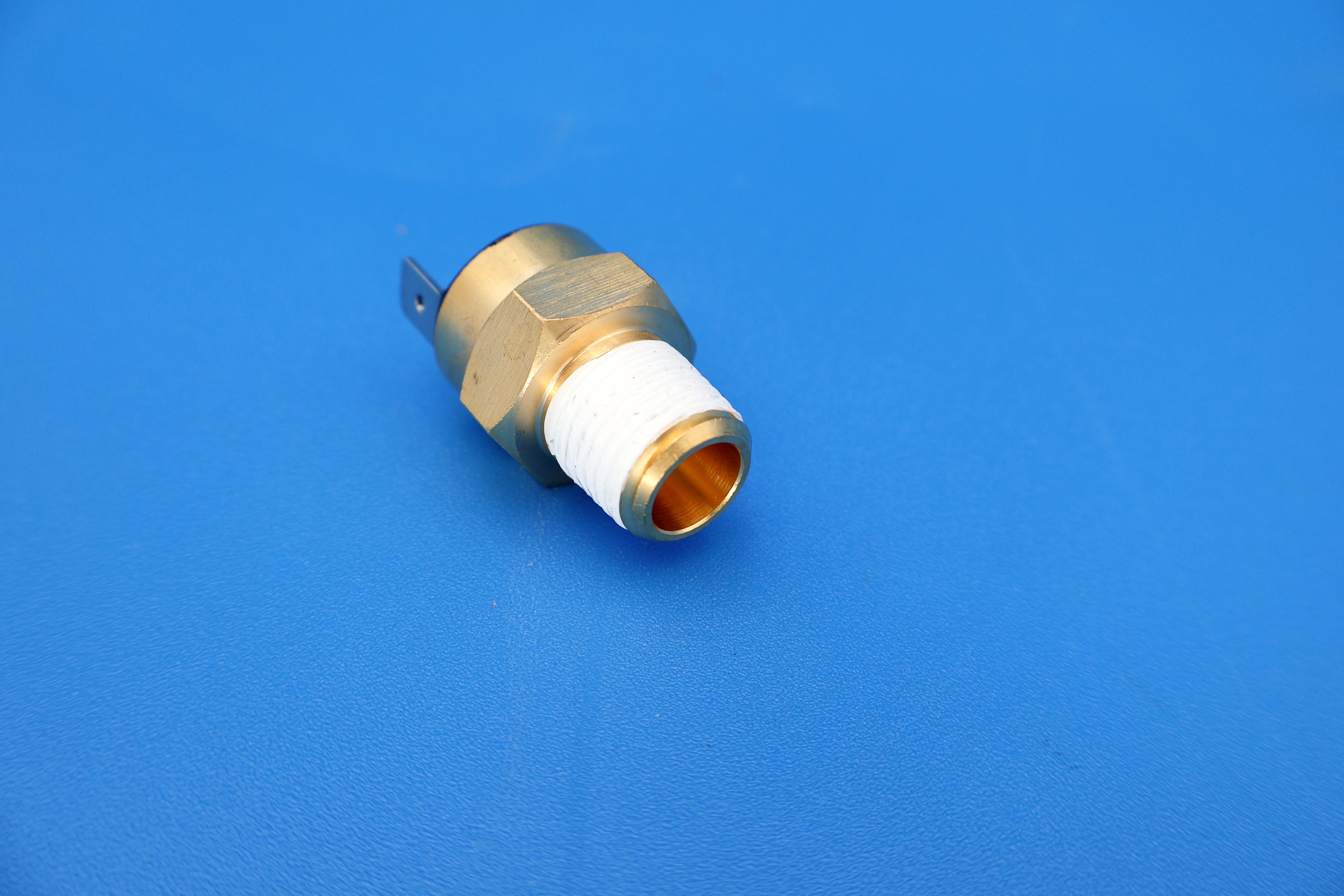 Pentair 140F Automatic Gas Shutoff Switch Replacement 42002-0025S