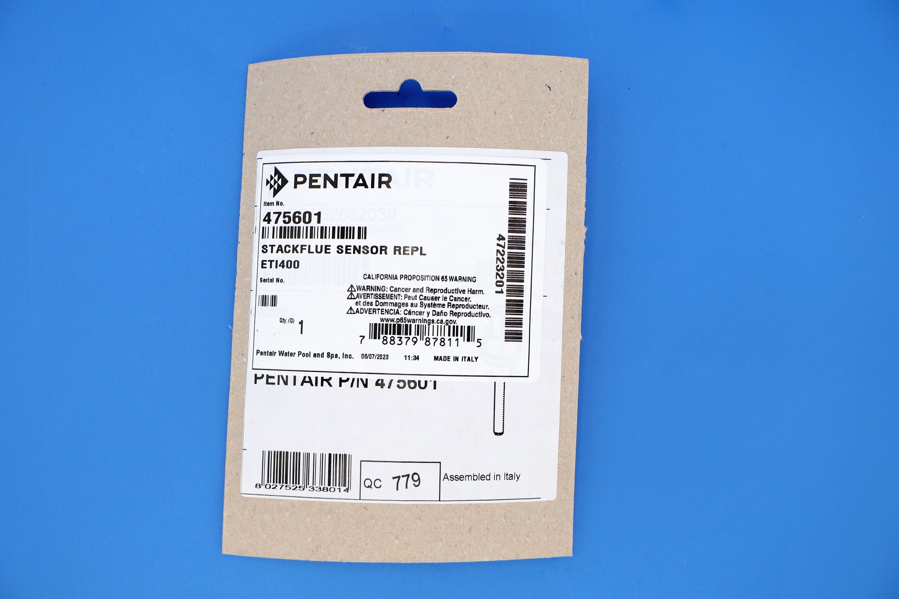 Pentair ETI400 Stack Flue Sensor Replacement Kit 475601