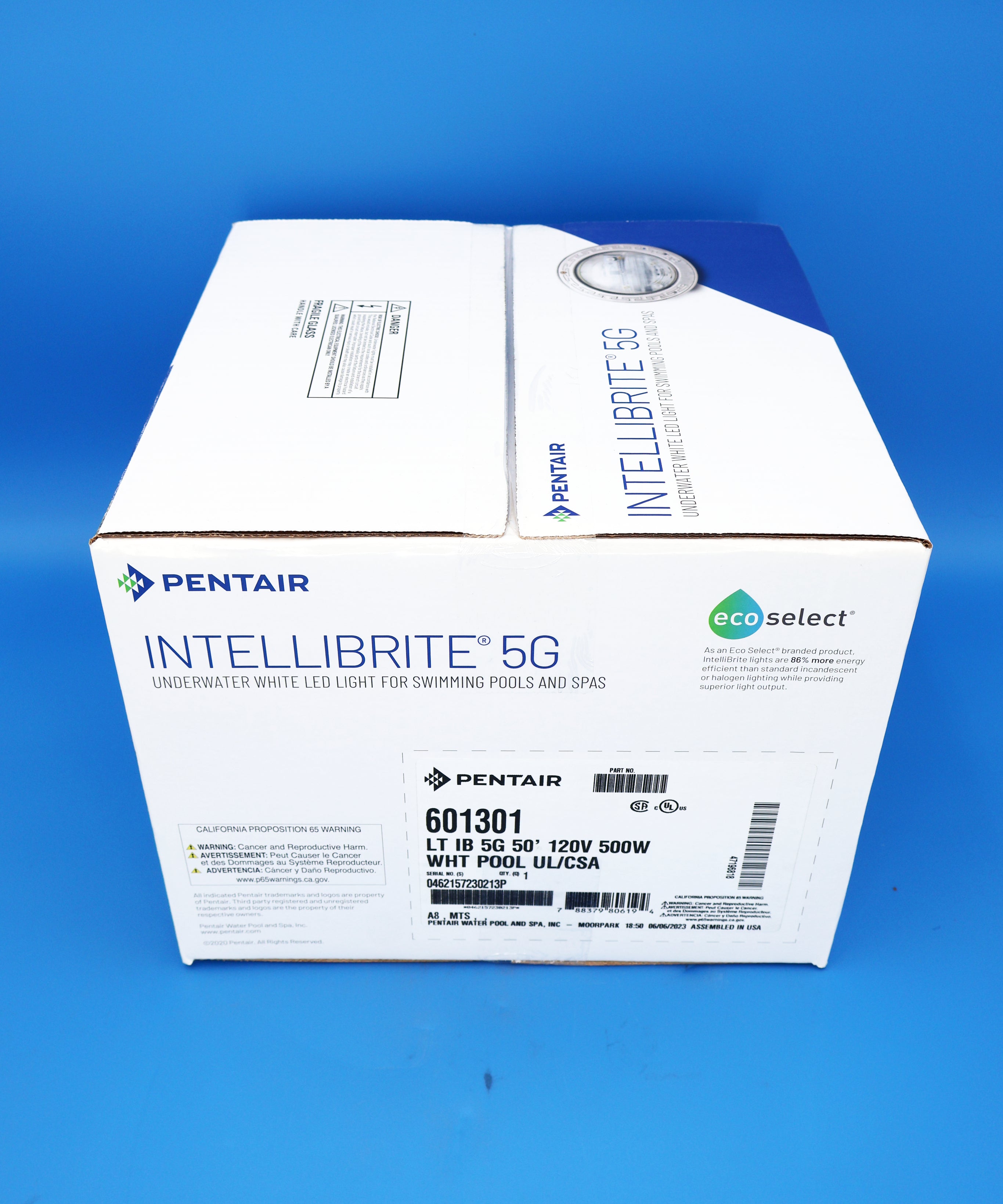 Pentair IntelliBrite 5G White Underwater LED Pool Light, 120 Volt, 500 Watt Equivalent, 50 Foot Cord 601301