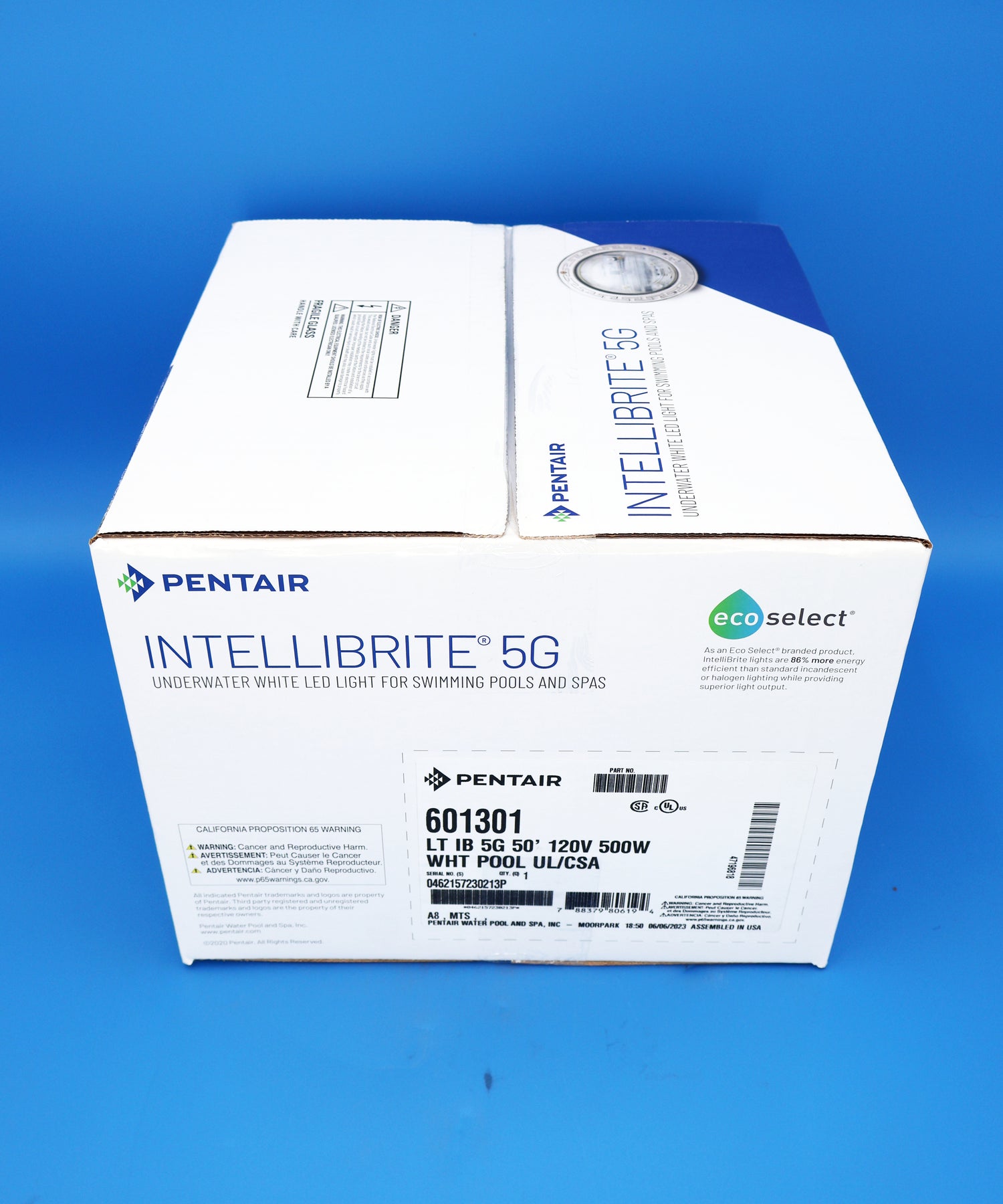 Pentair IntelliBrite 5G White Underwater LED Pool Light, 120 Volt, 500 Watt Equivalent, 50 Foot Cord 601301