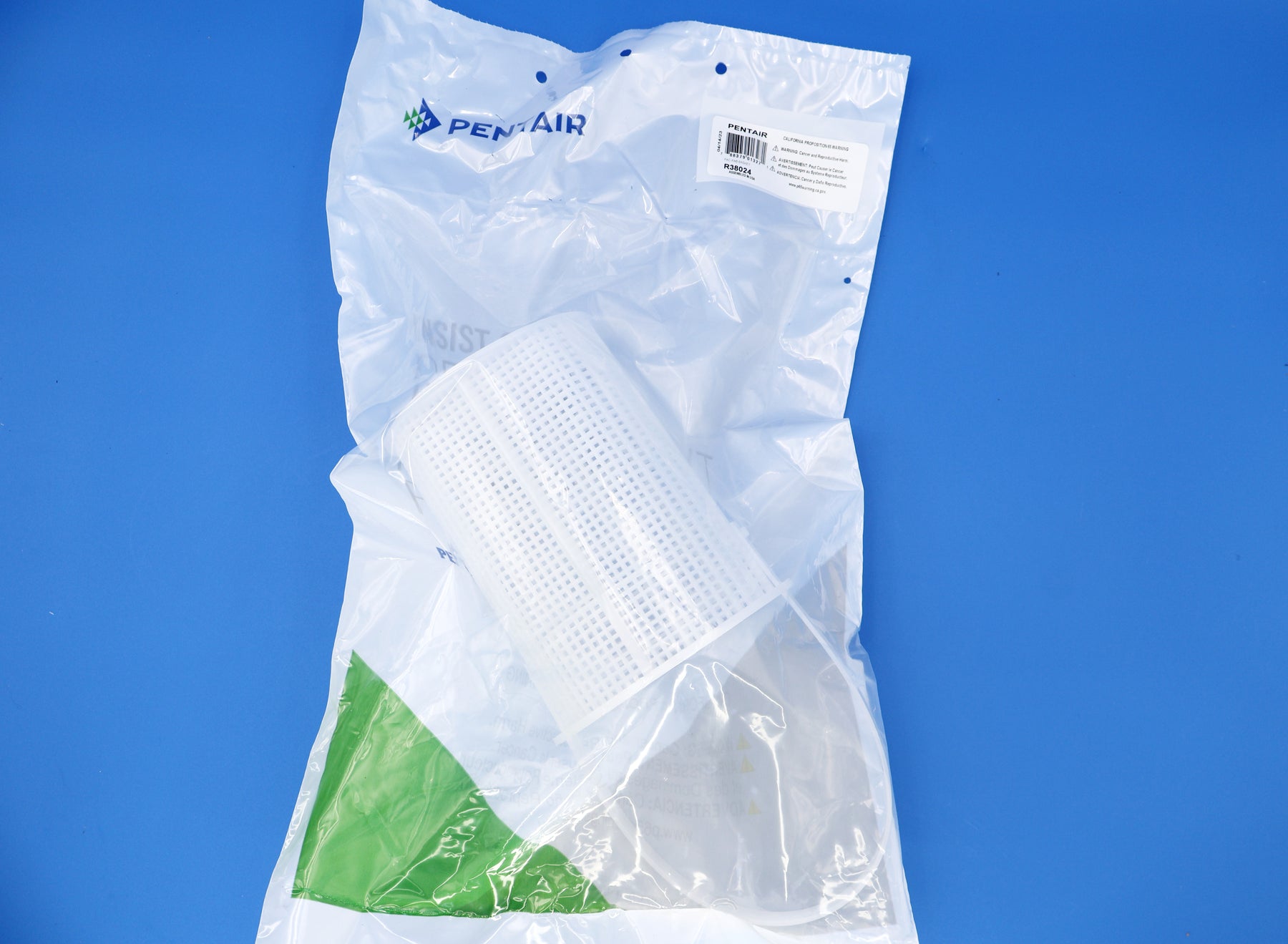 Pentair Challenger Strainer Basket R38024