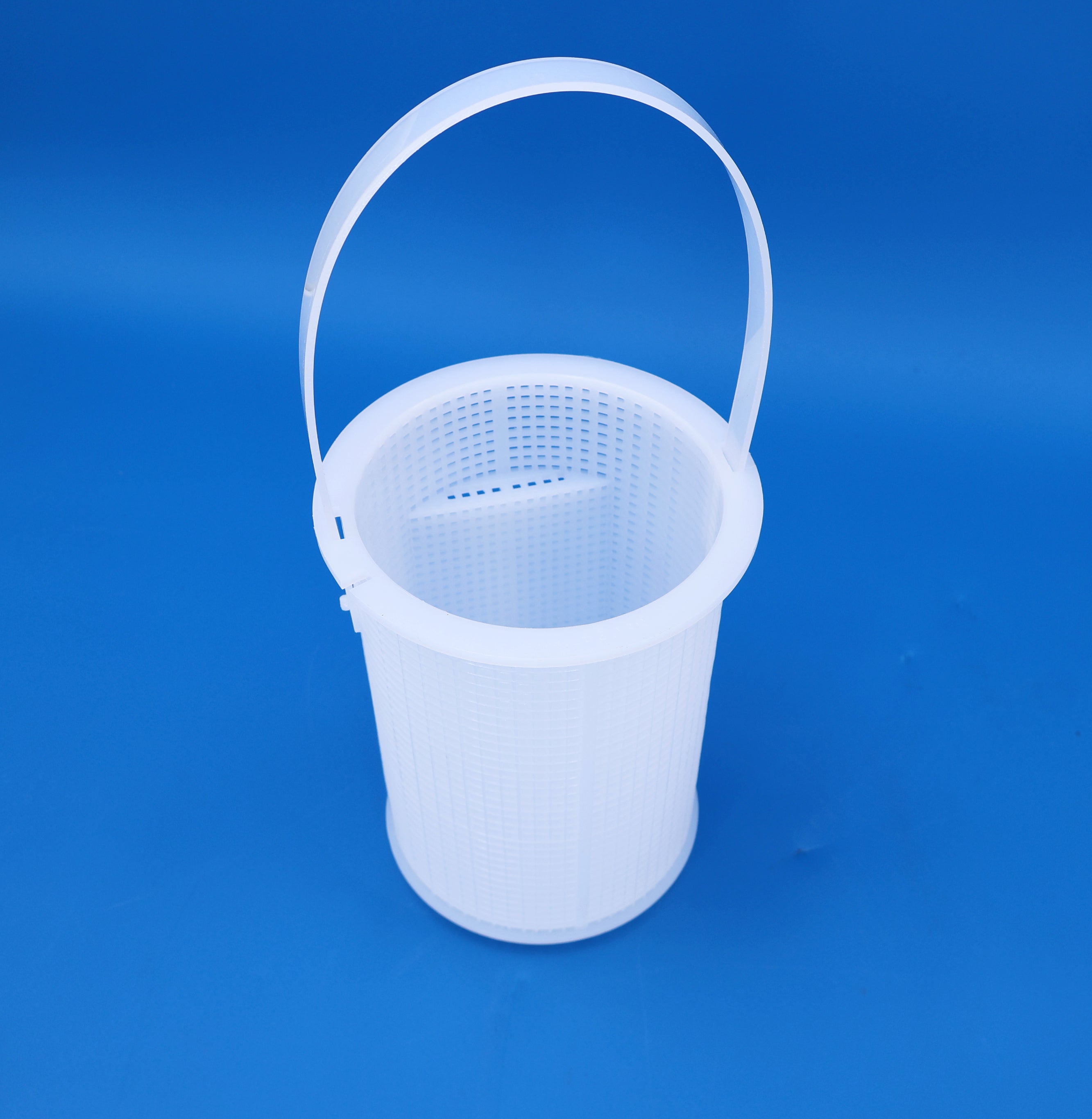 Pentair Challenger Strainer Basket R38024