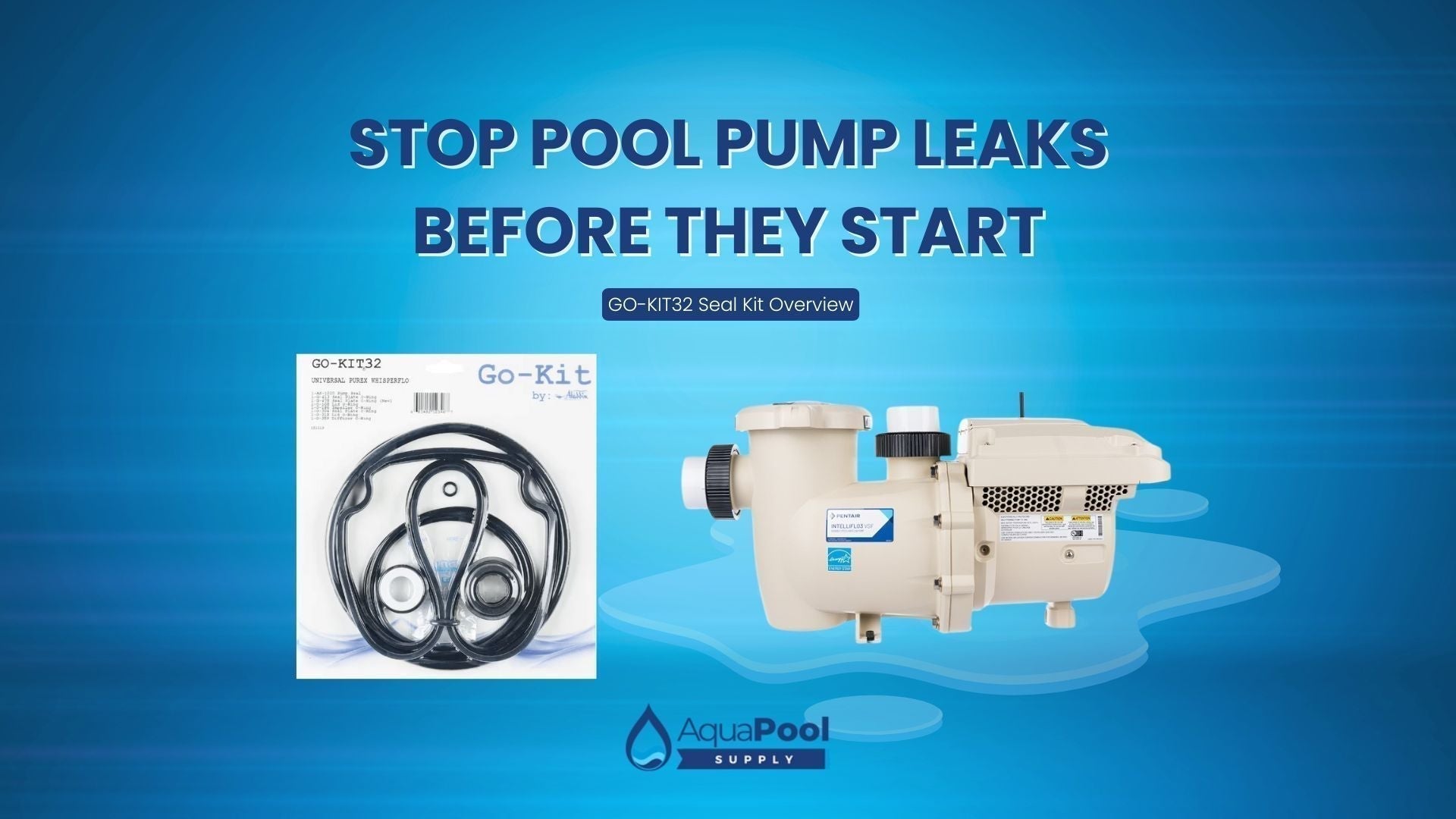 Stop Pool Pump Leaks Before They Start with the GO-KIT32 Seal Kit
