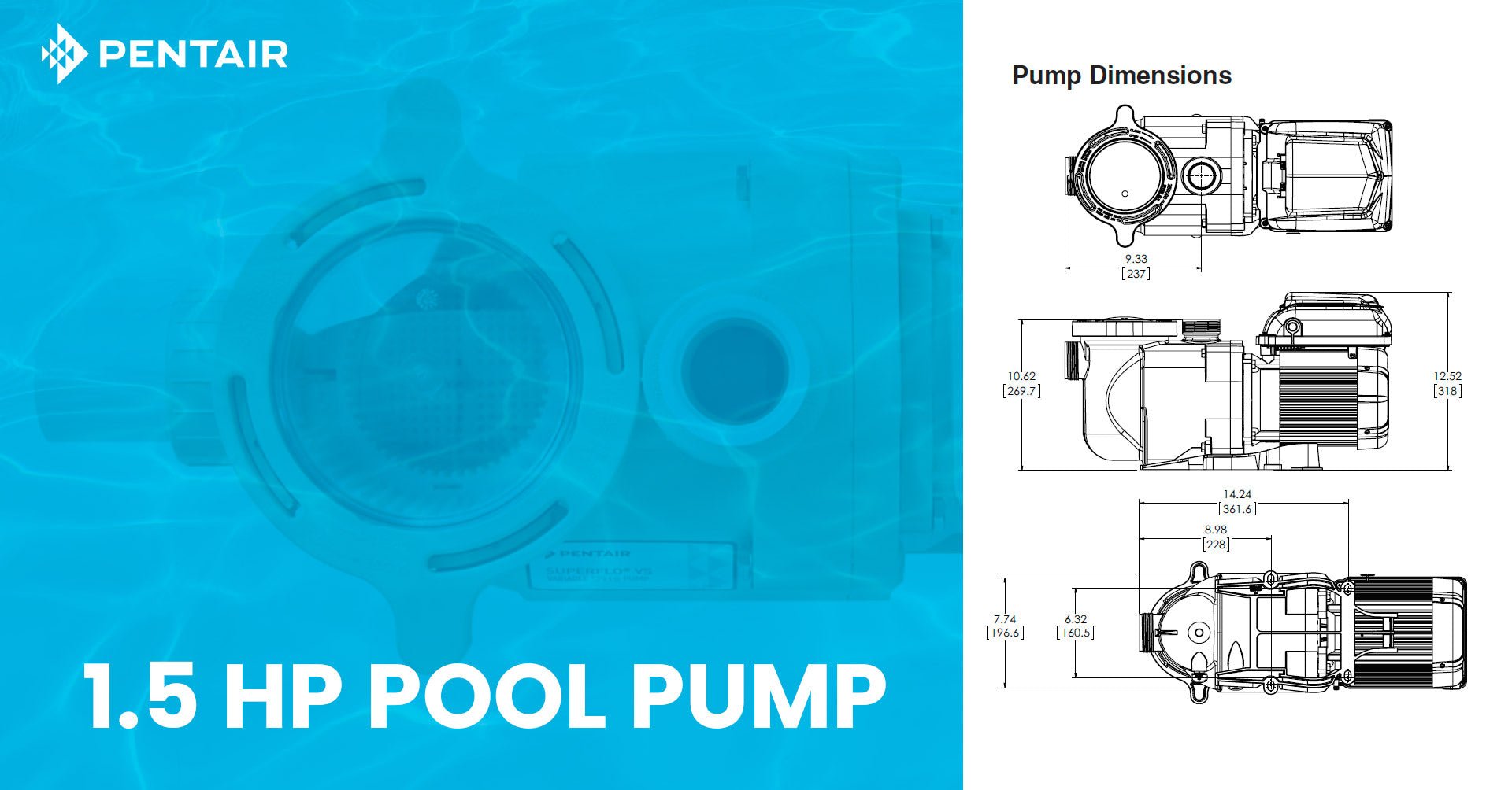 A Closer Look at Pentair 1.5 HP Pool Pumps: Unmatched Performance and Energy Savings - Aqua Pool Supply