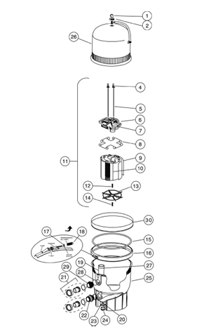 Pentair FNS Plus 48 D.E. Filter