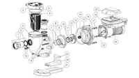 Hayward TriStar VS 2.70 THP Pump