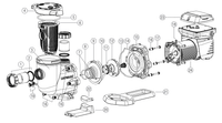 Hayward TriStar VS 4.0 THP Pump (VSP32940)