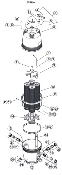 Jandy CV Cartridge Filter