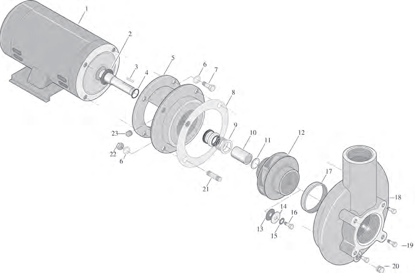 Pentair C & CC Series Centrifugal Pump (5 HP) Replacement Parts - Aqua Pool Supply