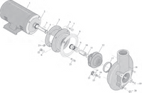 C & CC Series Centrifugal Pump (5 HP)