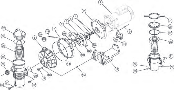 Challenger High Flow Pump
