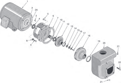 D Series Commercial Pump