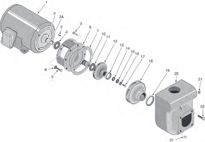 D Series Commercial Pump