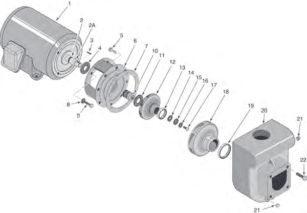 D Series Commercial Pump