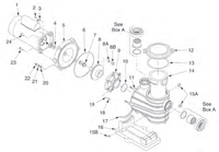 Dyna-Pro & Dyna-Pro E Pump