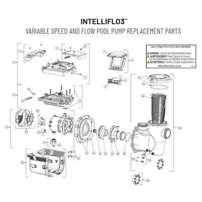 IntelliFlo3 VSF 3HP