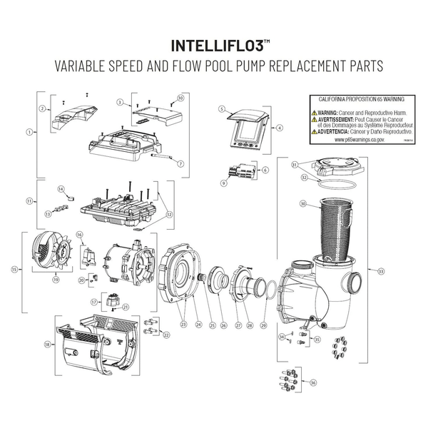 IntelliFlo3 VSF 3HP