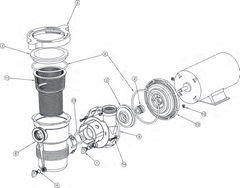 OptiFlo Above Ground Pump