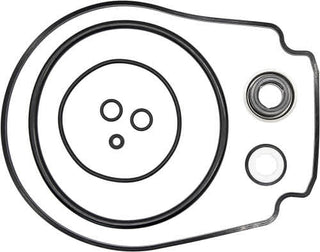 Pool Pump Seals