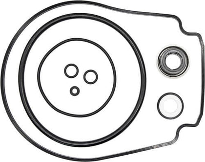 Pool Pump Seals