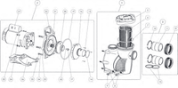 WhisperFloXF Pump