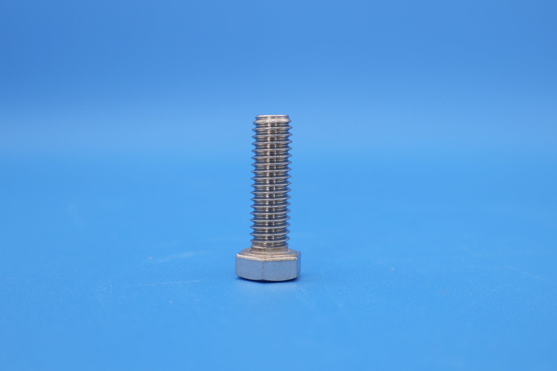 Pentair Whisperflo and Intelliflo Stainless Steel Hex Cap Bolt Replacement 070430