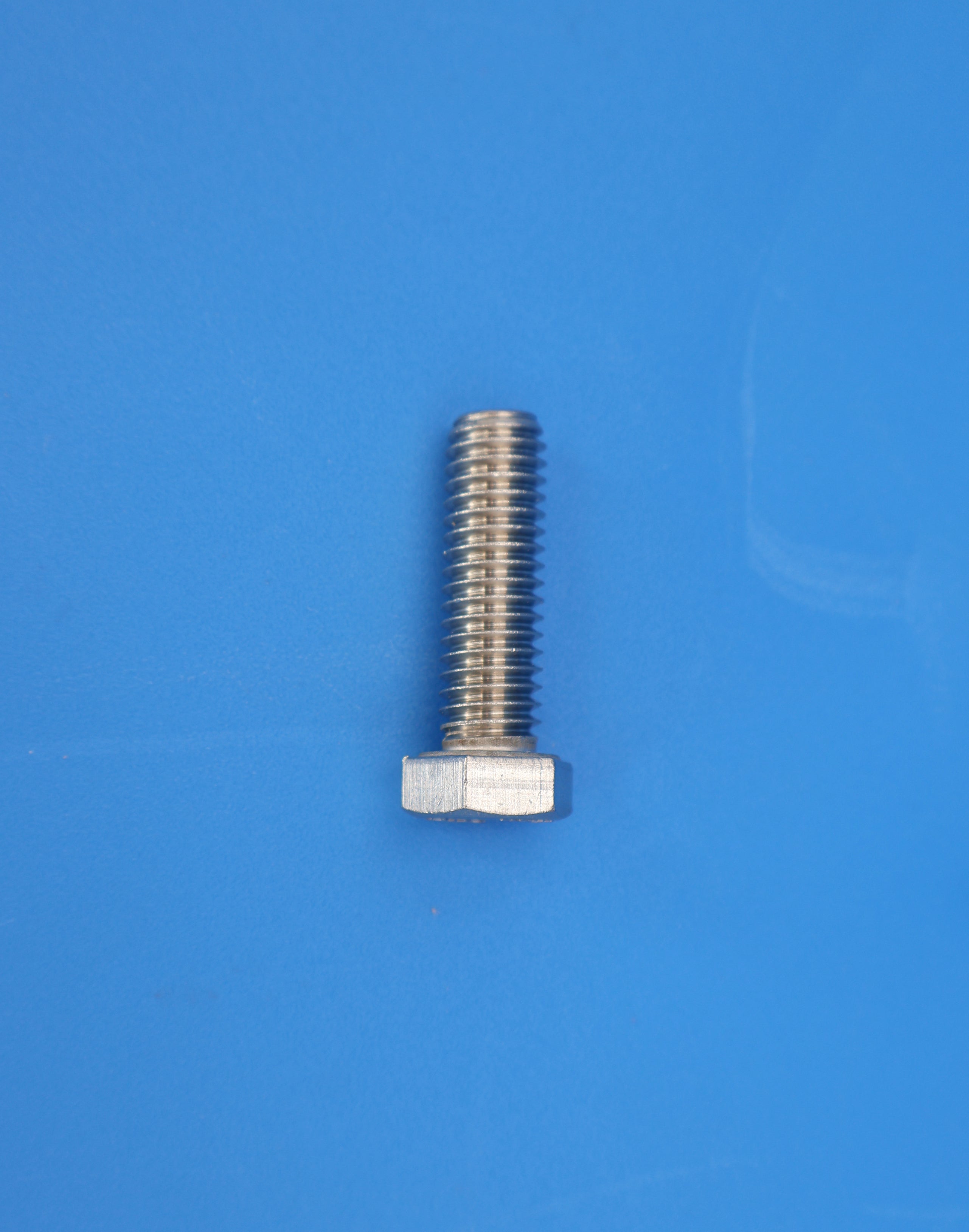 Pentair Whisperflo and Intelliflo Stainless Steel Hex Cap Bolt Replacement 070430