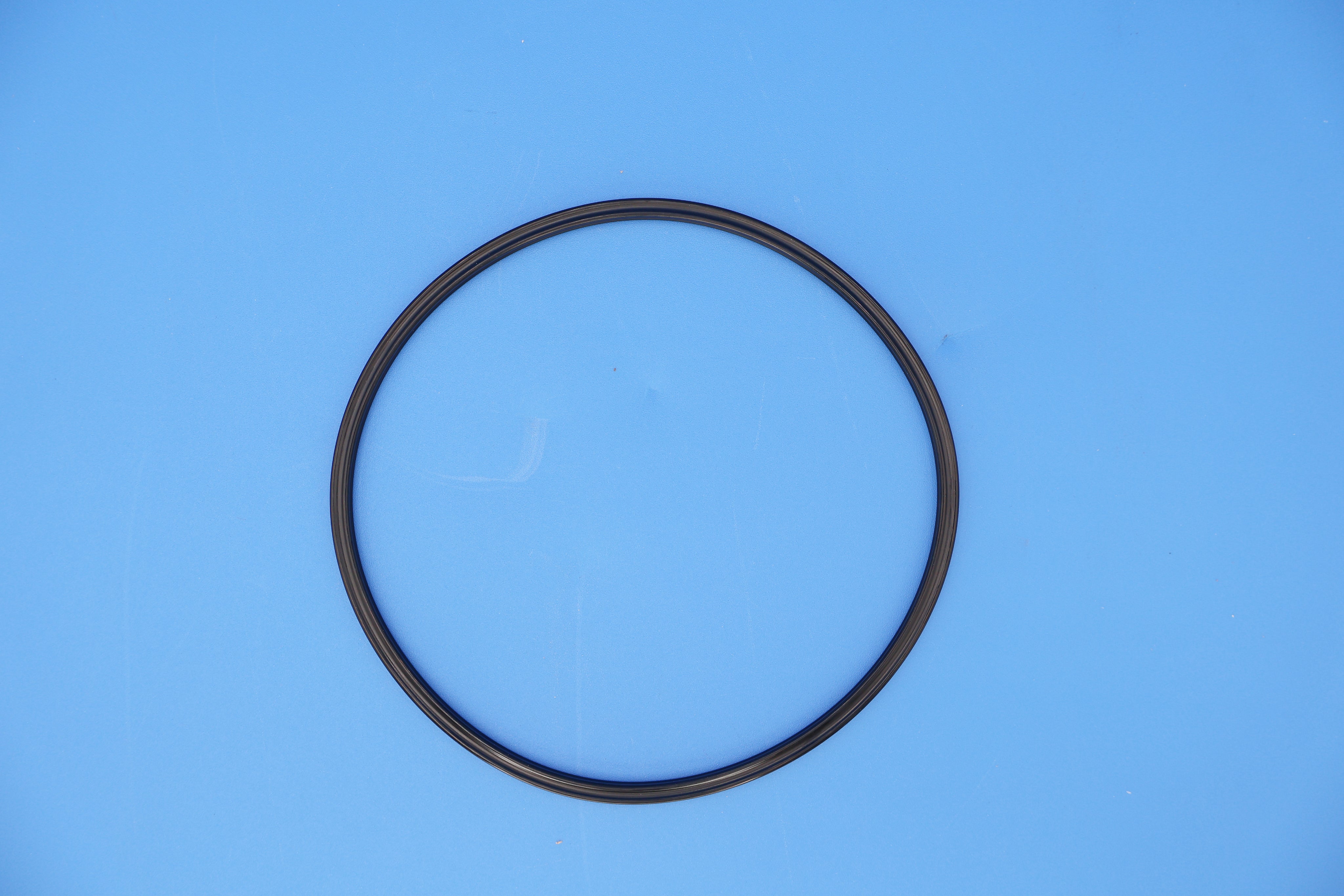 Pentair 362 Triton II Buttress Thread Closure O-Ring 152516