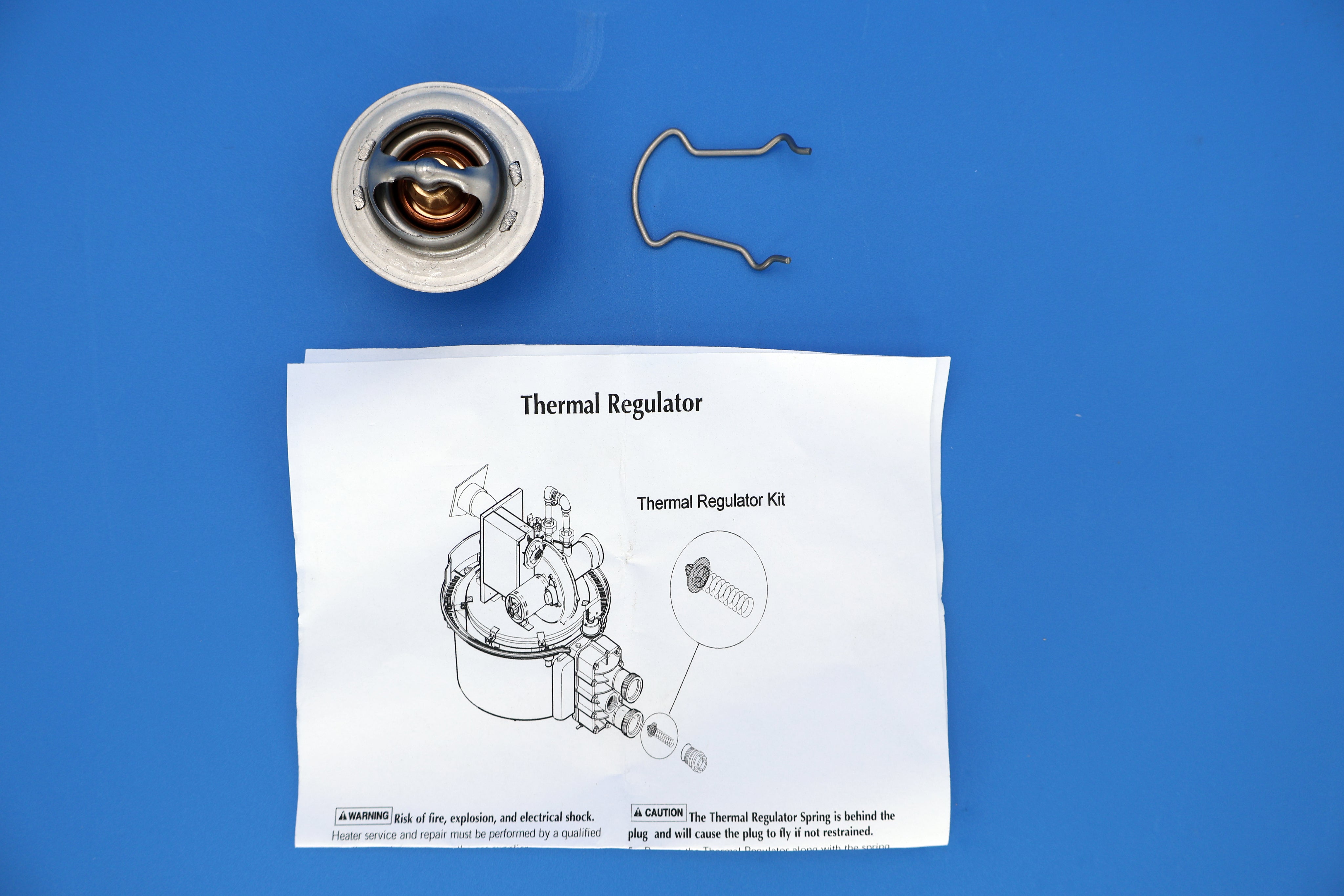 Pentair Thermal Regulator with Clip 38000-0007S