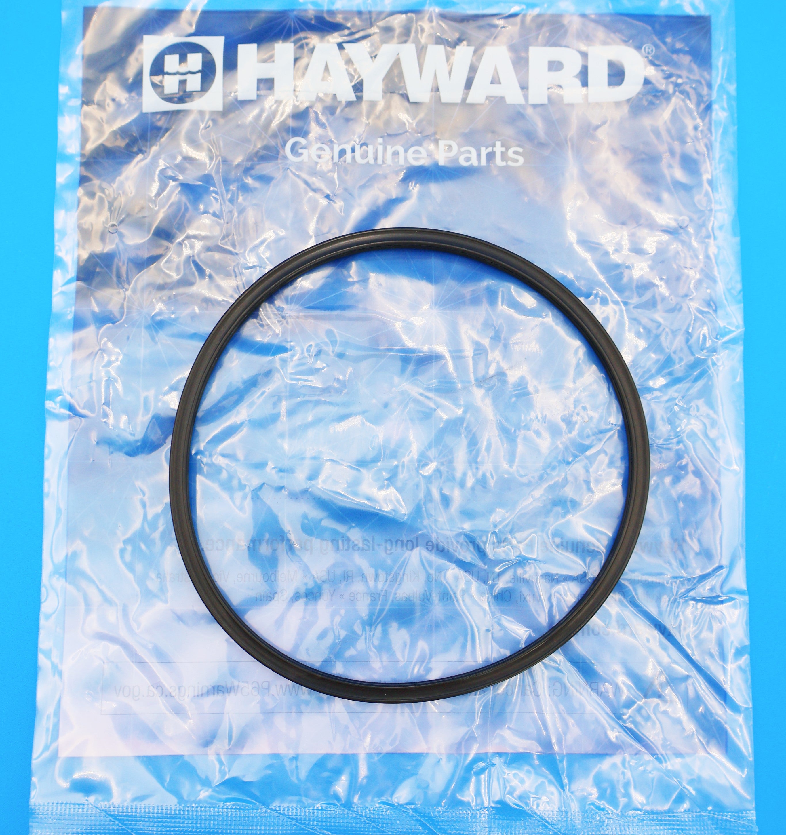 Hayward Special Composition Viton O-Ring for CL200/CL220 Chlorine Feeders CLX200K