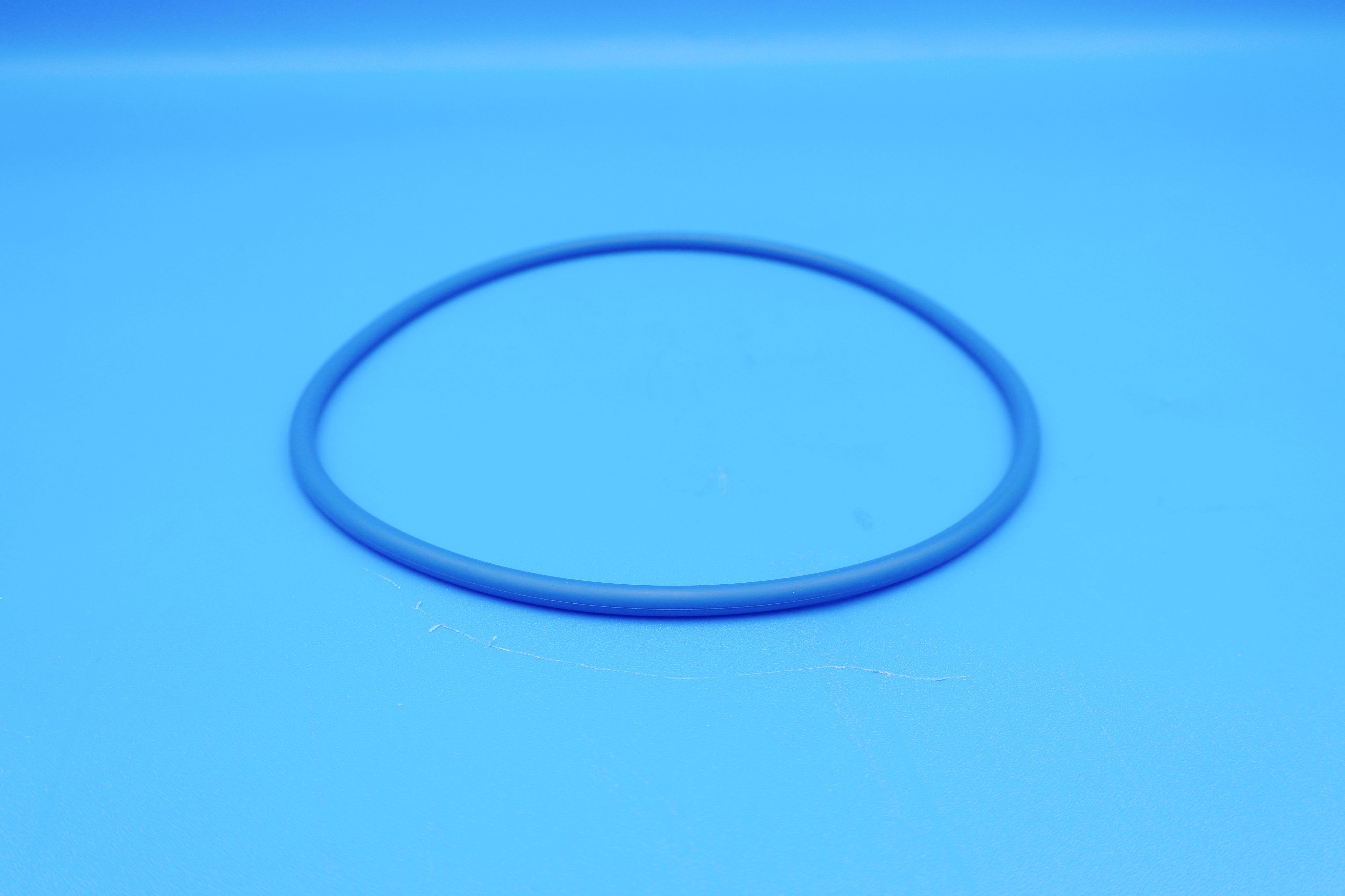 Hayward Pro Series Valve/Tank O-Ring | GMX600F
