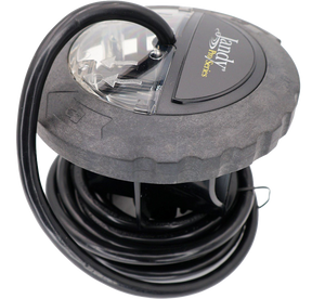 Lowest Price Online!