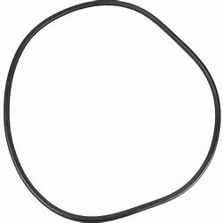 Aladdin Hayward Super Starclear/Microclear FG Tank O-Ring O-429