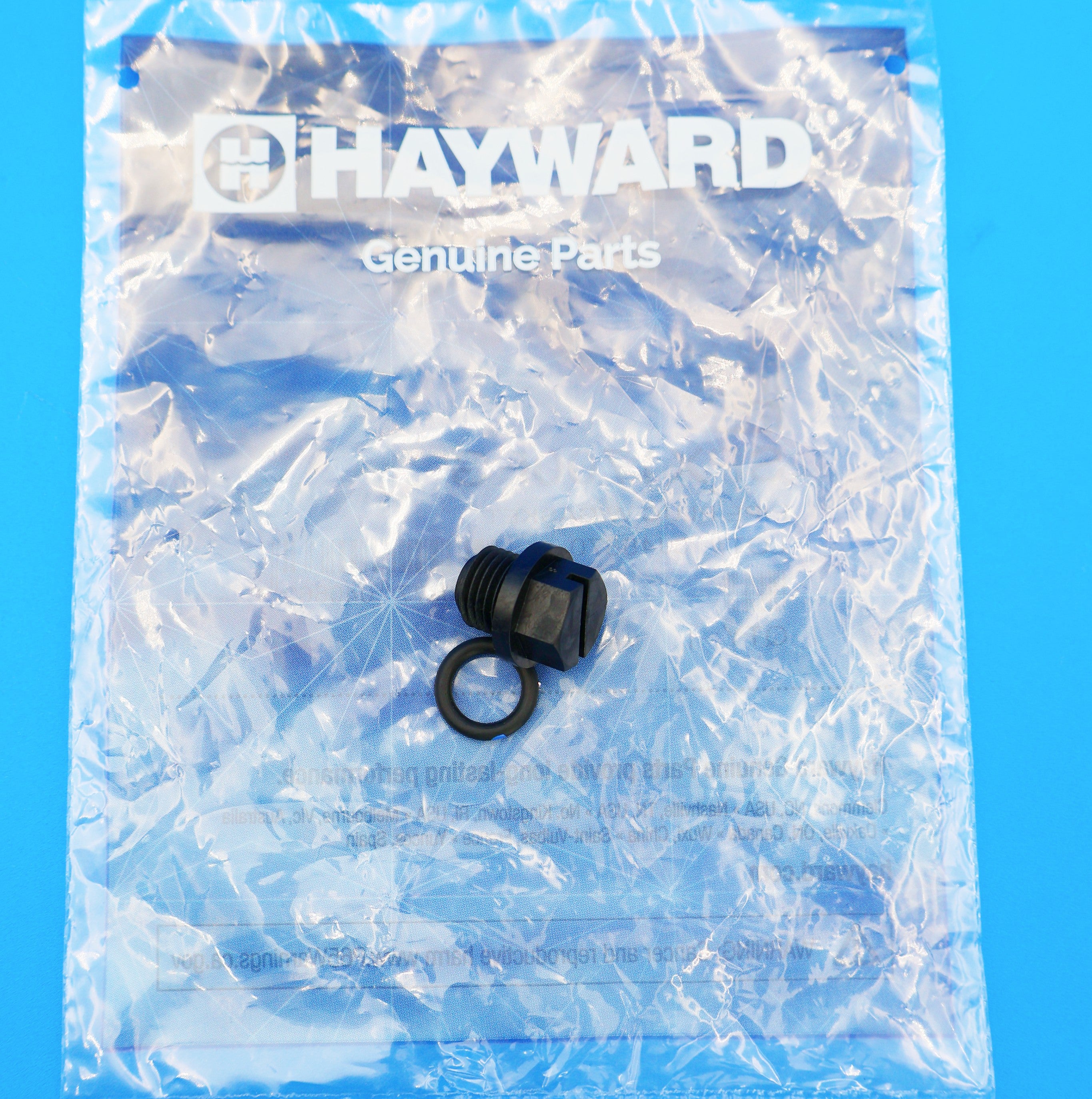 Hayward Super Pump Drain Plug with Gasket SPX1700FG