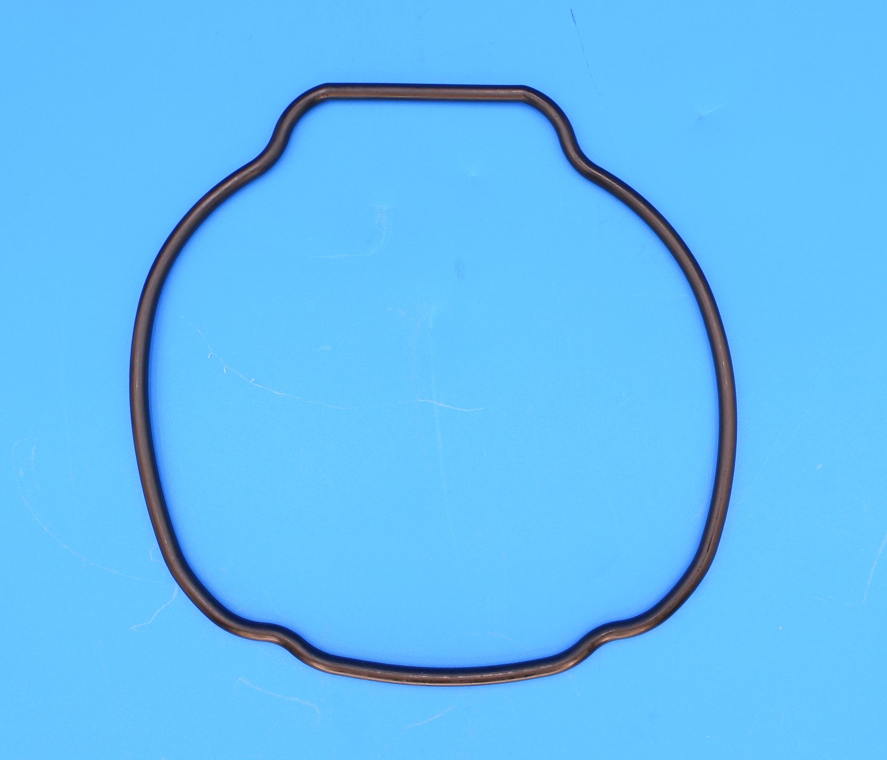 Hayward Replacement O-ring for EcoStar/TriStar Pump Housing (Seal Plate) SPX3200T