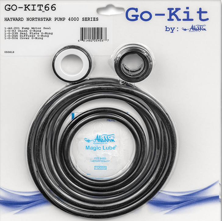Aladdin GO - KIT66 for Hayward Northstar Pool Pump - img - 1