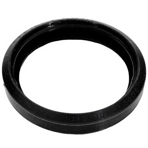 Hayward AstroLite II Lens Gasket | SPX0590G - Pool Lights - img - 1