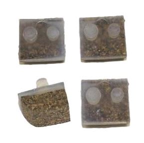 Hayward Cork Shoe Kit, 4/Pack | AXV014FNP - Cleaner Parts - img - 1