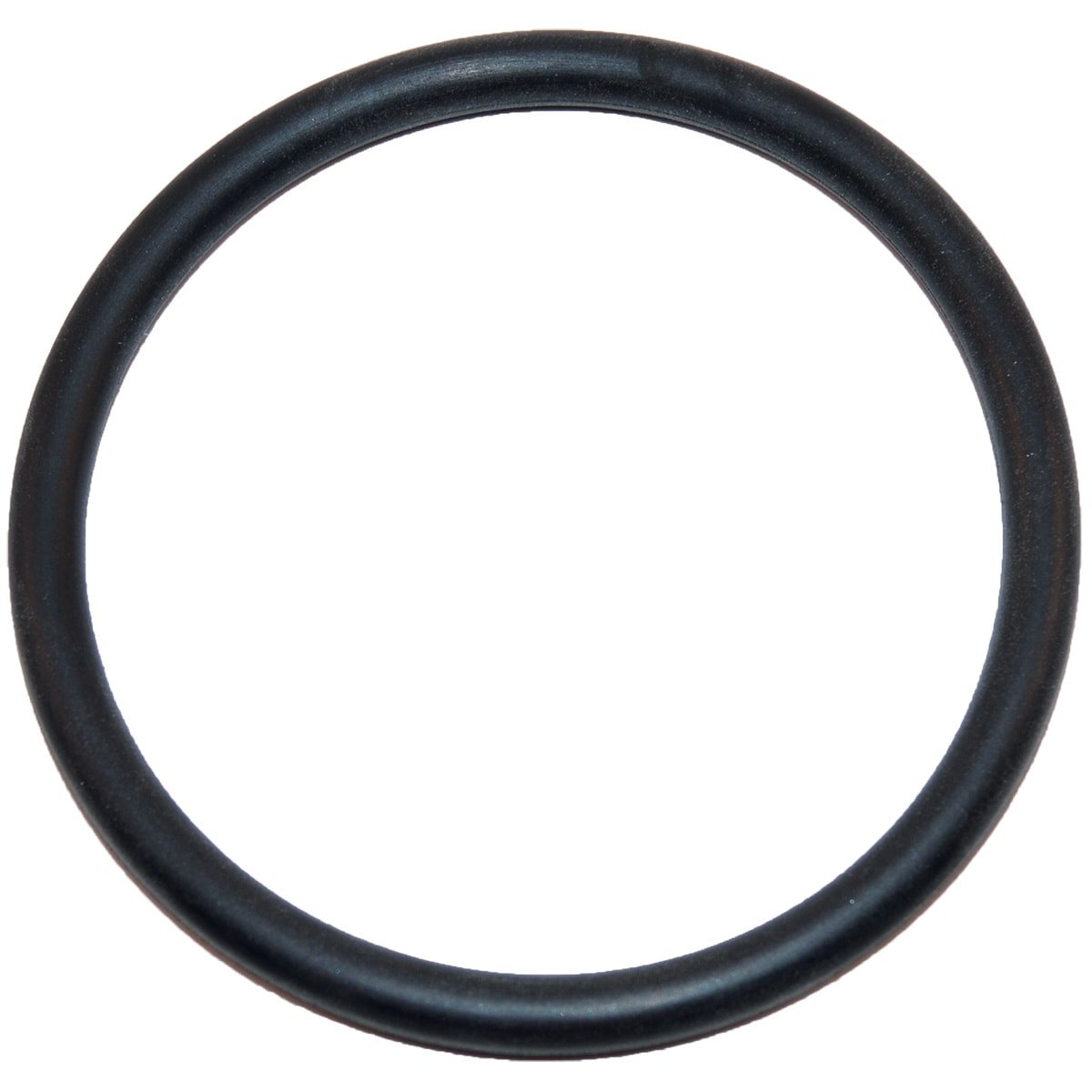 Hayward Large O - Ring | SX220Z2 - Pool Filter Parts - img - 1