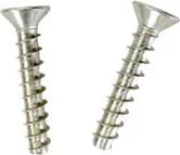 Hayward Main Drain Screw Set | SPX1030Z1A - Drains - img - 1